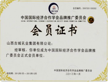 荣誉资质