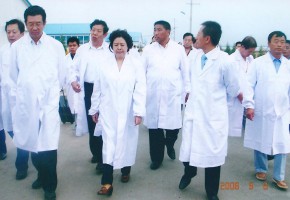 胡苏平在古城