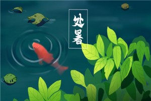 处暑